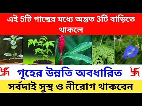 পারলে বাড়িতে আজকেই লাগান এই গাছগুলি - উন্নতি হবেই 🔥🔥🔥 বাড়ির জন্য সবথেকে উপকারী গাছ
