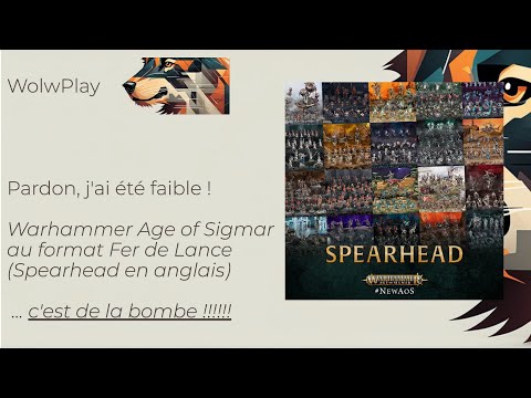 En vrac - Je replonge dans le hobby Warhammer ... et j'aime ca !!