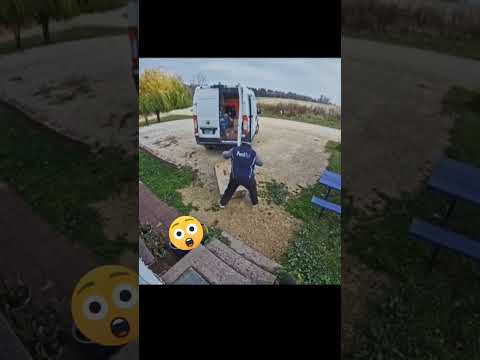 He Had Enough So He Destroyed My Package! 😲😱 #shorts