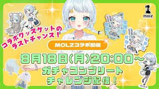 【#molz コラボ】本日最終日！心寧はなmolz3Dアバターコンプリートチャレンジ！【Vtuber/心寧はな】＃PR