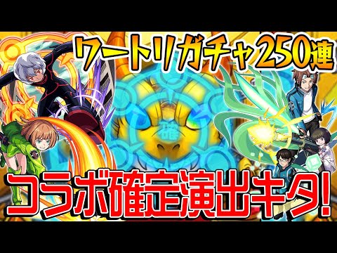 【モンスト】コラボ確定演出キタ！ワートリガチャ250連！【ワールドトリガーコラボ】