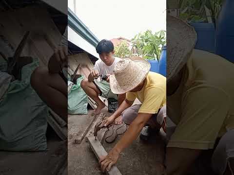 Pina bilis nya ako #video #trending #funny #fyp #viral