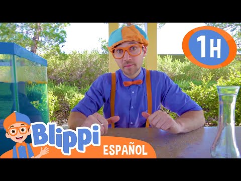 ¿Se Hunde o Flota? 💧💦 Blippi Español | Videos educativos para niños | Aprende y Juega