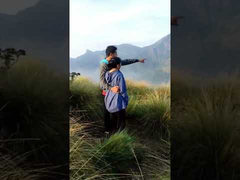 paradise in kerala #yellapetty #cloudfarm#munnar#viral #trendingshorts