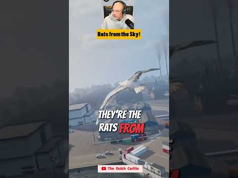 Seagulls and Ship Simulators: A Hilarious Adventure! #shorts