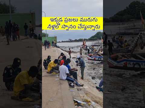 Slum life in Guinea conakry| #umatelugutraveller #viral #shortvideo #india #africa #youtubeshorts