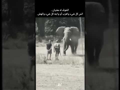 الهروب ليس الحل..