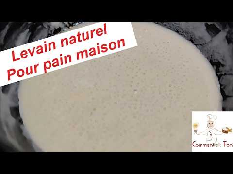 LEVAIN POUR FAIRE SON PAIN MAISON  - quels ingrédients pour un levain de qualité et un pain réussi!