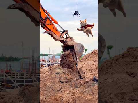 Máy xúc múc đất, xe bơm bê tông làm việc trong công trường. #excavator