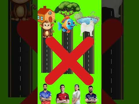 Right Position Dog 🐕 Monkey🐒 Fish 🐠 Tools Items Shorts, Funny VFX Shorts #shorts #ytshorts