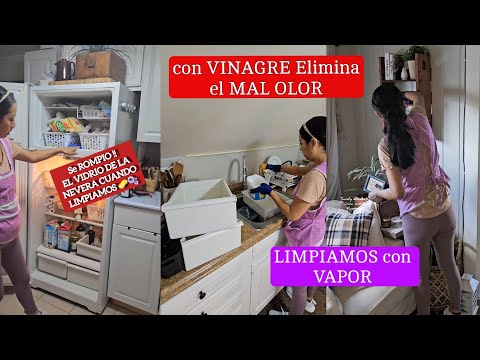 ELIMINA EL MAL OLOR CON VINAGRE| LIMPIANDO LA NEVERA SE ROMPIO EL VIDRIO, LIMPIEZA CON VAPOR