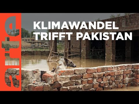 Pakistan: Ein Jahr nach der Flut | ARTE Reportage