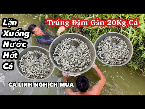 Độc Đáo Cảnh Vừa Lặn Vừa Hốt Cá Của Anh Nghĩa • Cách Bắt Cá Độc Lạ Chưa Từng Thấy | BLĐT