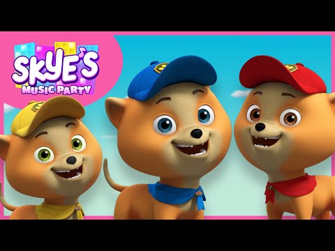 Junior Patrol! No Job is Too Small! - Skye's Music Party - PAW Patrol Music Cartoons for Kids