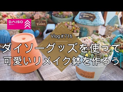 【Vlog716】【多肉植物】ダイソーグッズを使って可愛いリメイク鉢を作ろう【モルタルコンクリート風ペイント】【ダイソー鉢シリーズ②リメ鉢作り】