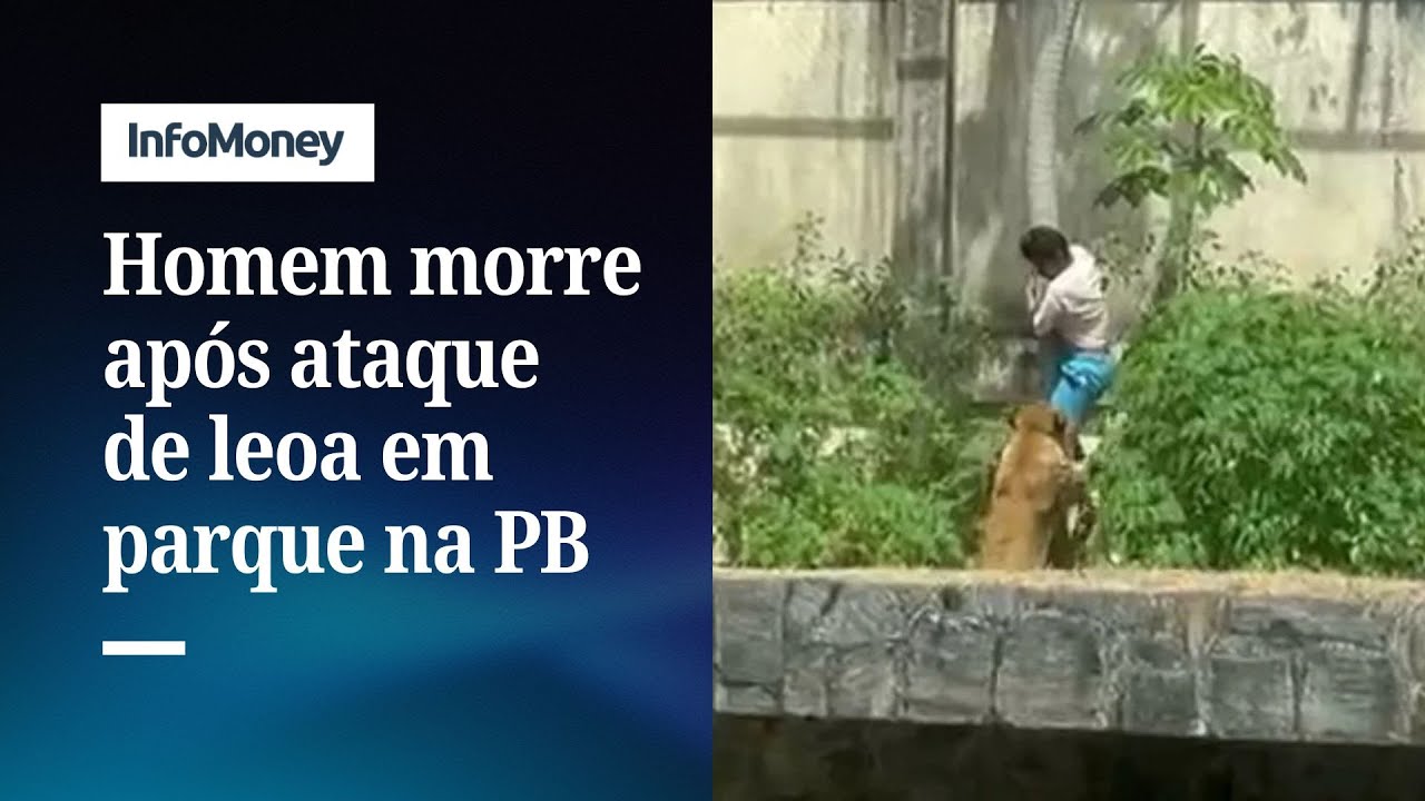 Após homem morrer em ataque de leoa, parque se pronuncia | InfoMoney News