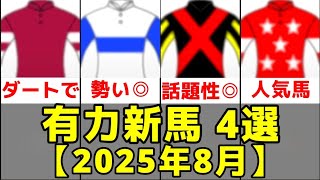 【2025年8月】デビュー有力2歳新馬トップ4【ギャラボーグ/レッドラージャ】
