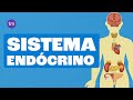 Hormônios e Funções do Sistema Endócrino