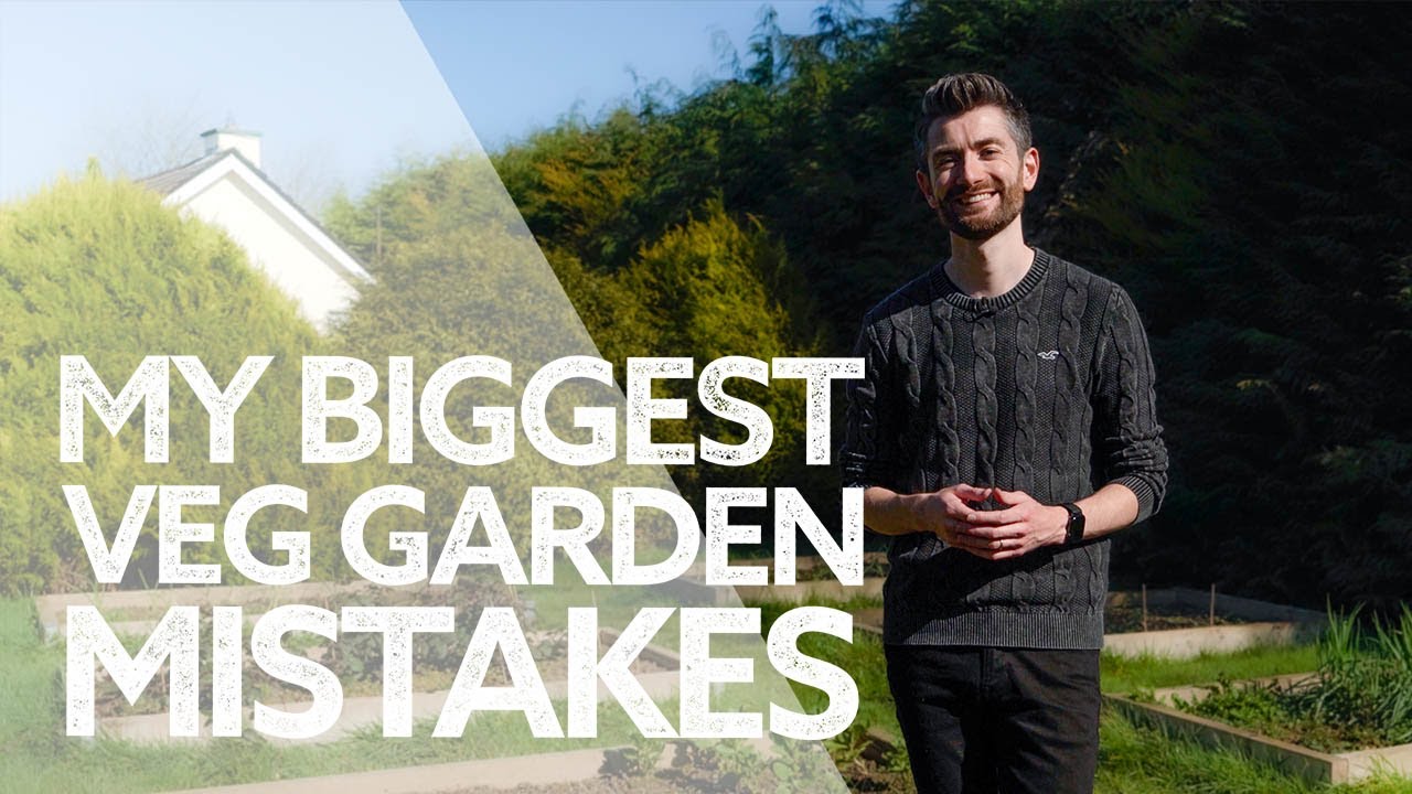 The 3 Biggest Mistakes I've Made in My Vegetable Garden... So Far!