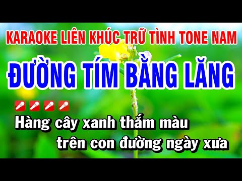 Karaoke Liên Khúc Trữ Tình Tone Nam Nhạc Sống Dễ Hát – Đường Tím Bằng Lăng | Hoài Phong Organ