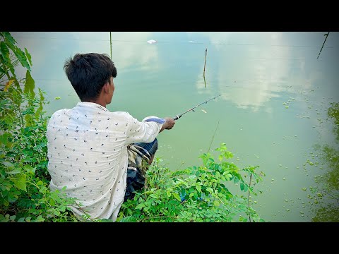 Hook Fishing 🎣 Traditional Hook Fishing ~ Village Daily Life