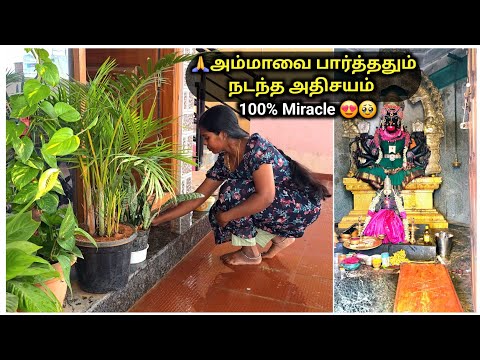 🥹எனக்கு நடந்த *அதிசயம்*🙏😍| Mutton Briyani & Mutton Fry💫| Random Vlog #vlog #tamil #home #lifestyle
