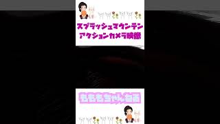 動画サムネイル