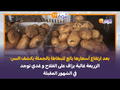 بعد ارتفاع أسعارها بائع للبطاطا بالجملة يكشف السر: الزريعة غالية بزاف على الفلاح وغدي توجد