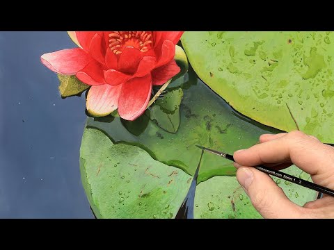 Painting Water Droplets on a Water Lilly.