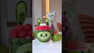 Labubu Watermelon smoothie (๑˃̵̣ᴗ˂)و🍉#chefcatchangan