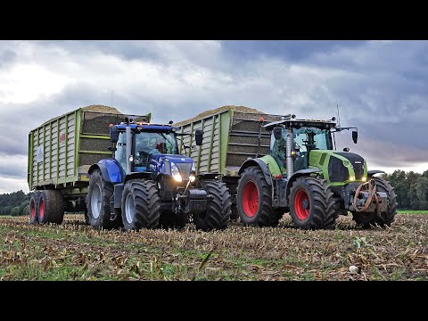 Mais Silage 2024 | Claas Jaguar 850 + Fendt + New Holland | W. Timmer & Zn BV