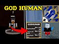 Obtaining the God Human Fighting Style