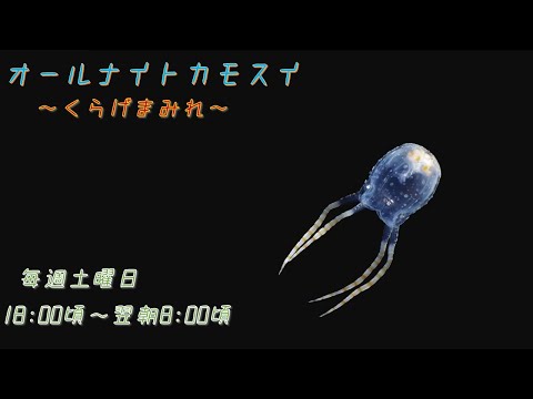 猫の動画サムネイル - オールナイトカモスイ　～くらげまみれ～ #213　ヒメアンドンクラゲ
