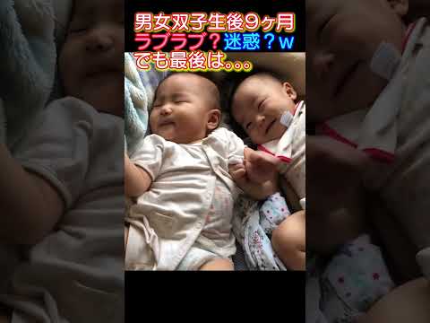 【ラブラブ男女双子】迷惑そうな妹wでも最後は。。。生後9ヶ月赤ちゃん#赤ちゃん #baby #双子 #twins #生後9ヶ月 #ラブラブ #仲良し兄妹#仲良し双子 #shorts