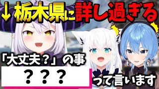 ラプ様が詳し過ぎて栃木県民かと疑いの目を向けるすいちゃんとフブちゃん【ホロライブ切り抜き/ラプラス・ダークネス/星街すいせい/白上フブキ】
