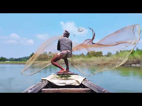 Fishing Video 🐟🐟 Traditional Net Fishing 🎣 Catching Little Fish By Net ~ River Fishing (Part-32)