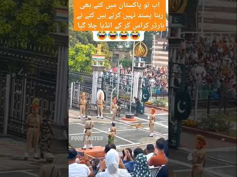 اب تو پاکستان میں کتے بھی رہنا پسند نہیں کرتے ہیں کتے نے بارڈر کراس کر کے انڈیا چلا گیا