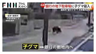 動画サムネイル
