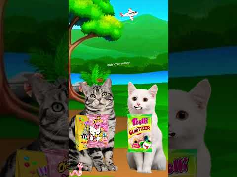 Siapa yang pelit? #catlover