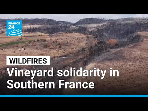 YouTube video thumbnail: Southern France Vineyards Solidary After Wildfires Rave Over 1 Million Hectares