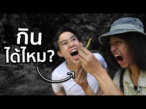 หาของกินในป่าได้ไหม!? ft. JoCho