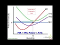 Short-Run Firm Behavior in Economics