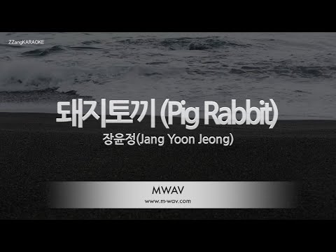 [짱가라오케/노래방] 장윤정(Jang Yoon Jeong)-돼지토끼 (Pig Rabbit) [ZZang KARAOKE]