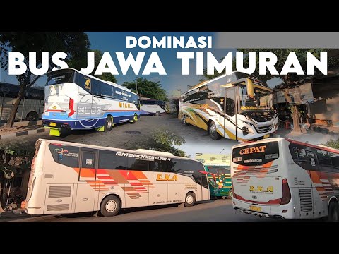 BUS JATIM MENDOMINASI | Terminal Giwangan di Hari Minggu Sore