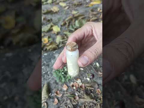 You won't believe the power of nature👌#creative #shorts #viral #nature #keşfet #shortvideo #diy