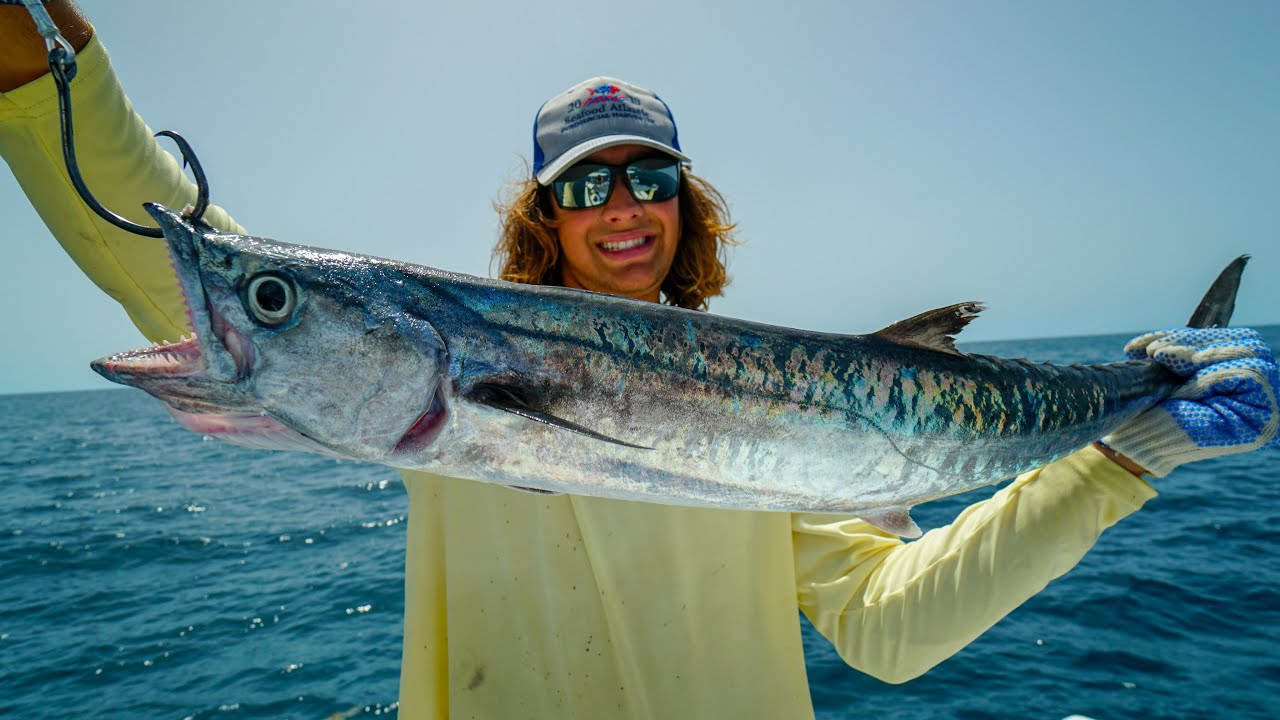 GIANT Baits for MASSIVE Fish.