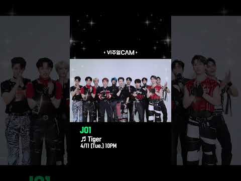 🐯인간 호랑이들 등장🐯 ✨비주얼캠/4K✨ JO1 (제이오원) - Tiger #비주얼캠 #VISUALCAM #JO1 #Tiger