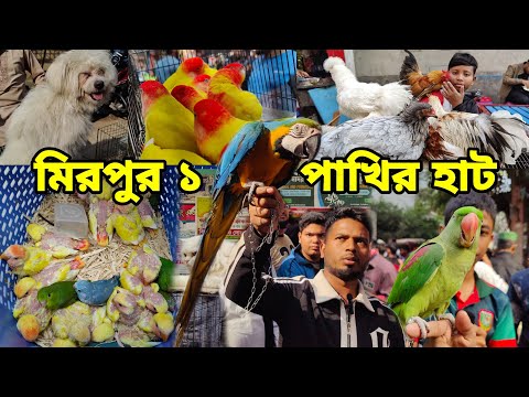 শীতে গরম মিরপুর ১ পাখির হাট_Lasa dog,Macaw price,Tia pakhir baccha,fancy chicken_Mirpur pakhir Haat