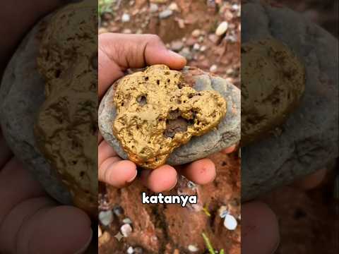 ternyata di bawah batu itu ada emas#shorts #shortvideo