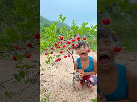 Wow! SMART idea and USEFUL with single mom #bushcraft #camping #outdoors #useful